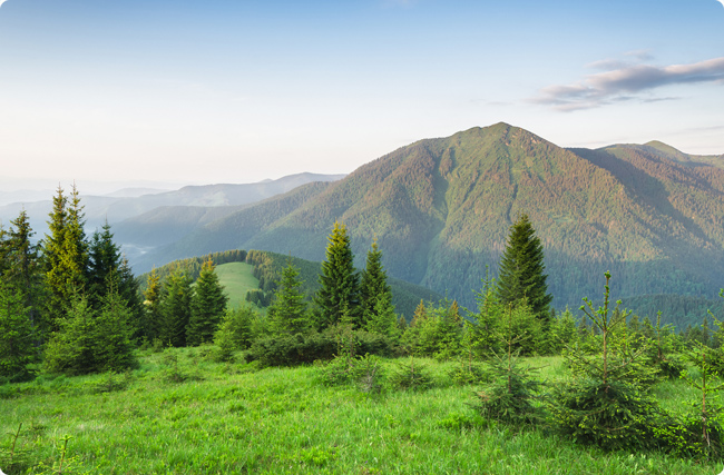 ��ˮ�֘I̼�R